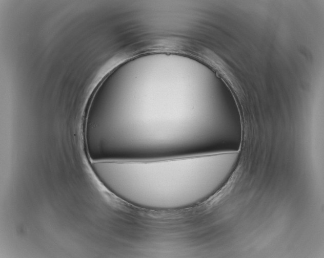 X0000111361434200907100946