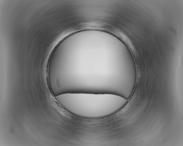 X0000111361435200907100947