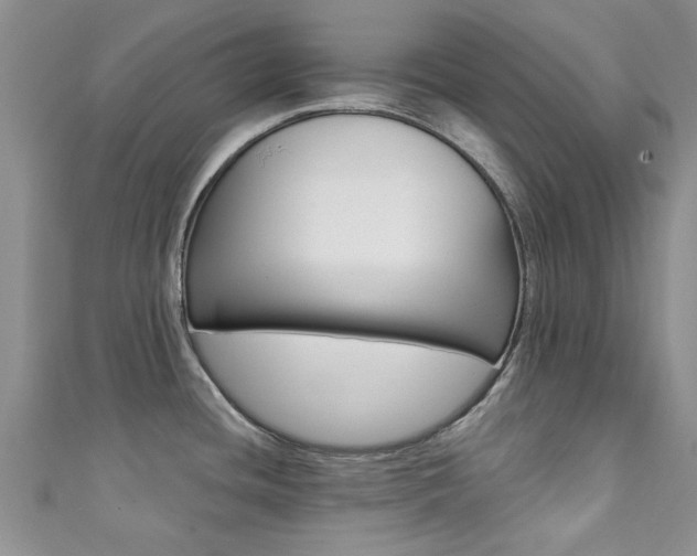 X0000111361436200907100947