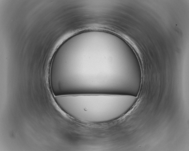 X0000111361437200907100947