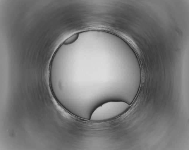 X0000111361439200907100947