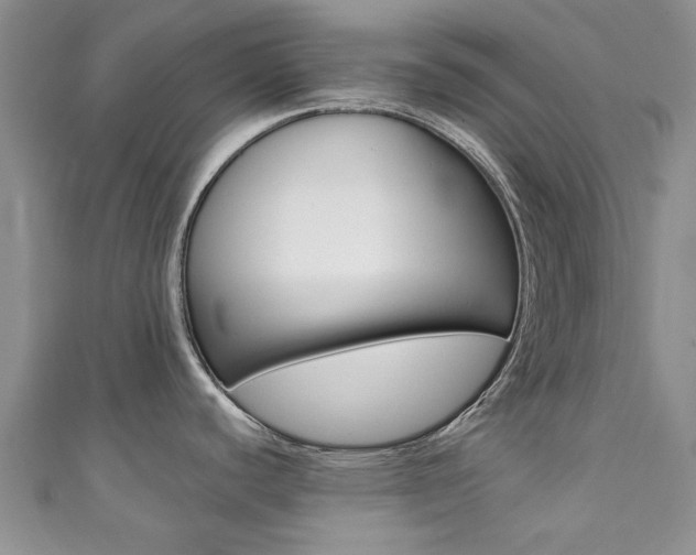 X0000111361440200907100947