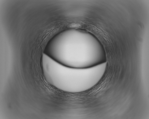 X0000111361441200907100946