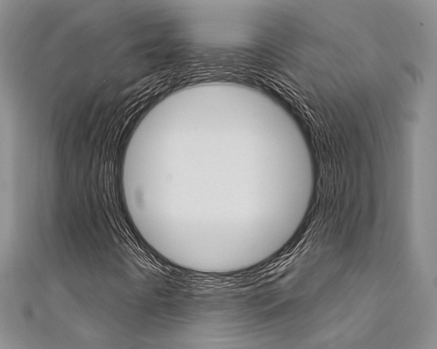 X0000111361442200907100946