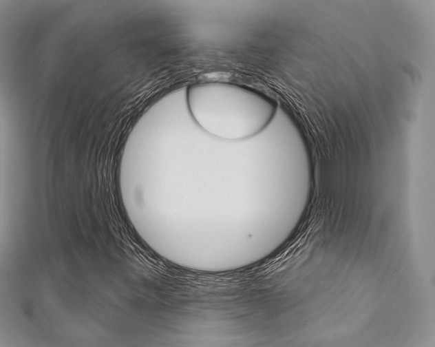 X0000111361443200907100946