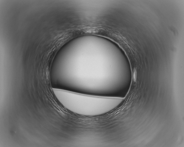 X0000111361444200907100946