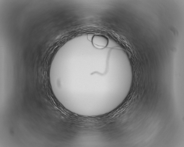 X0000111361445200907100946