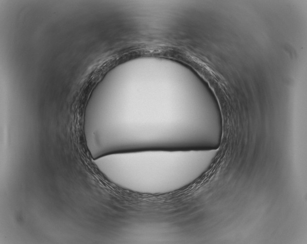 X0000111361447200907100946