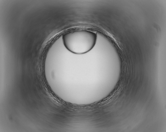 X0000111361448200907100946