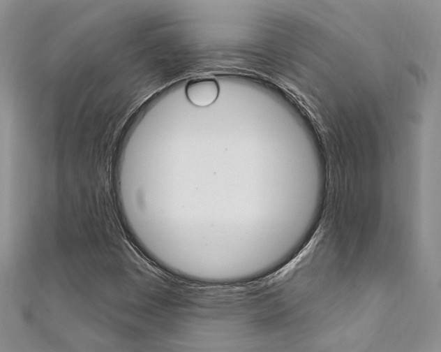 X0000111361449200907100946