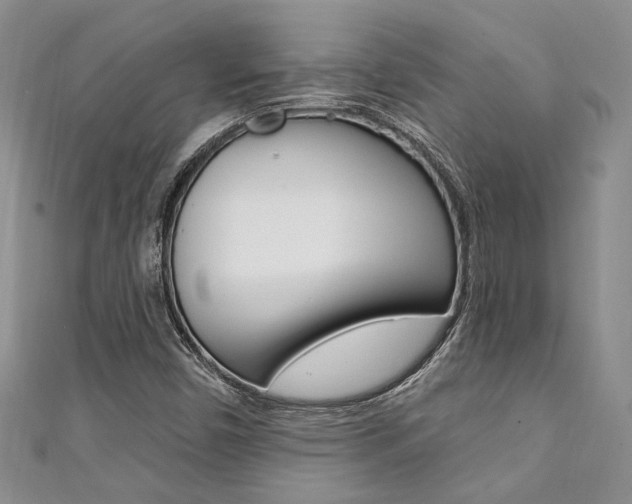 X0000111361450200907100946