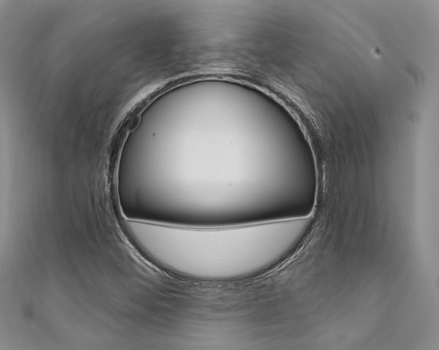 X0000111361452200907100946