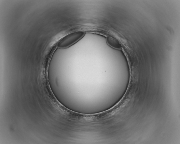 X0000111361453200907100946