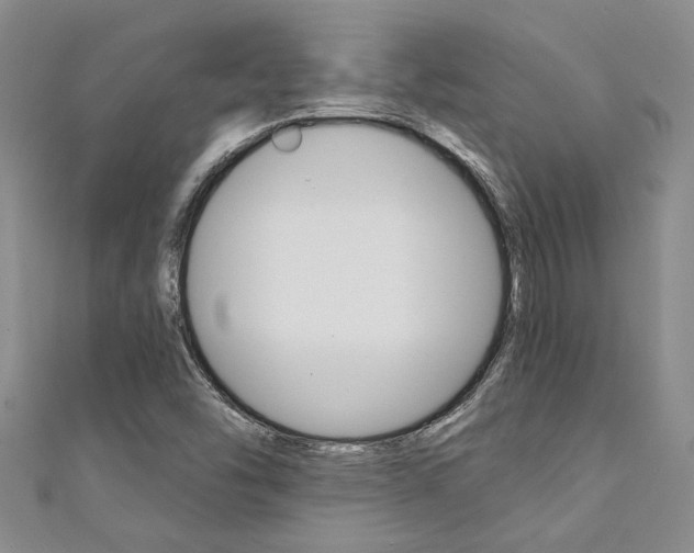 X0000111361454200907100946