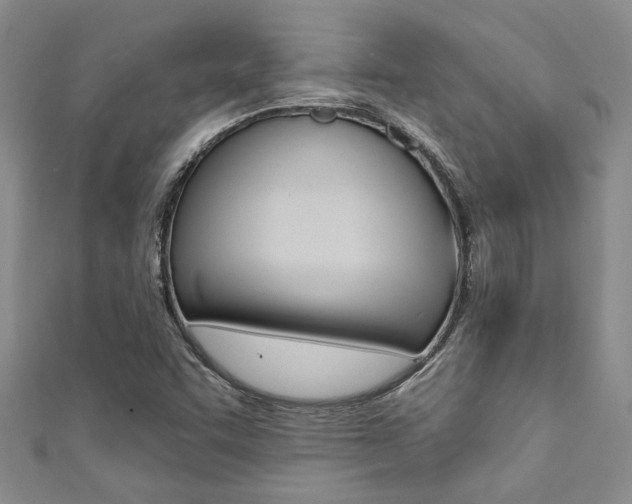 X0000111361455200907100946