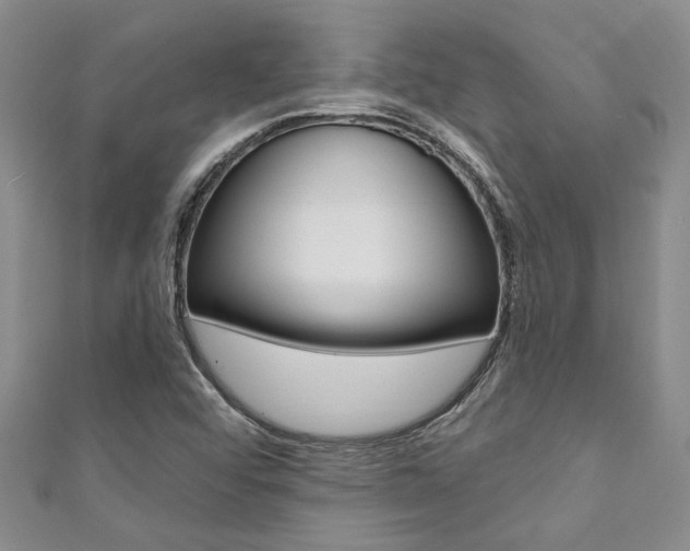 X0000111361456200907100946