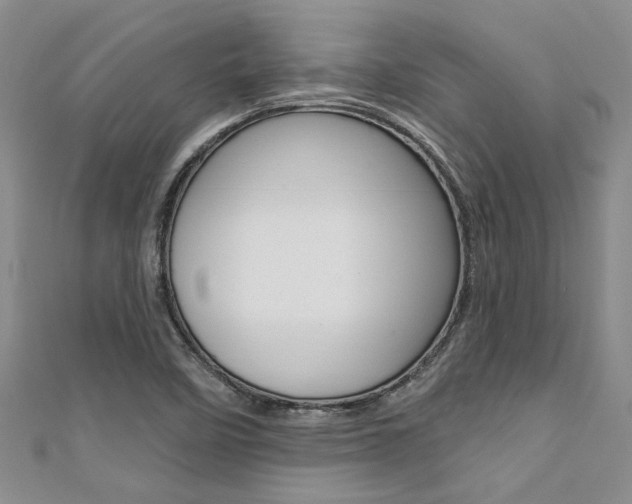 X0000111361458200907100946