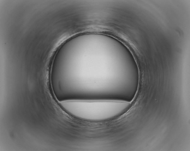 X0000111361459200907100946
