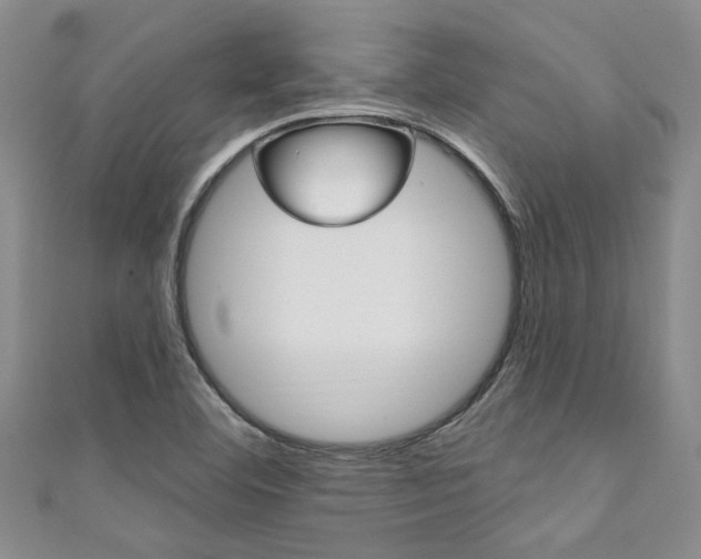 X0000111361460200907100946