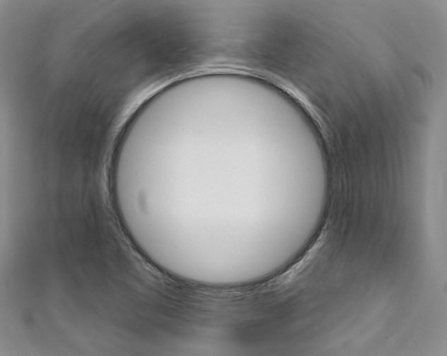 X0000111361461200907100946