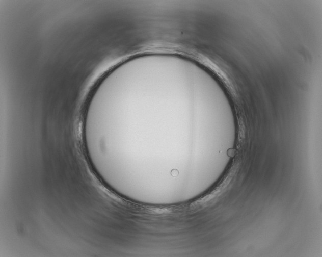 X0000111361462200907100946