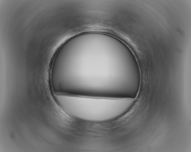 X0000111361463200907100946