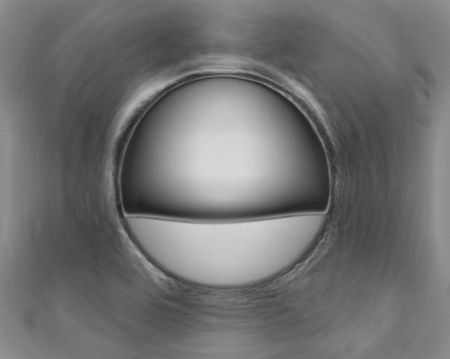X0000111361464200907100946