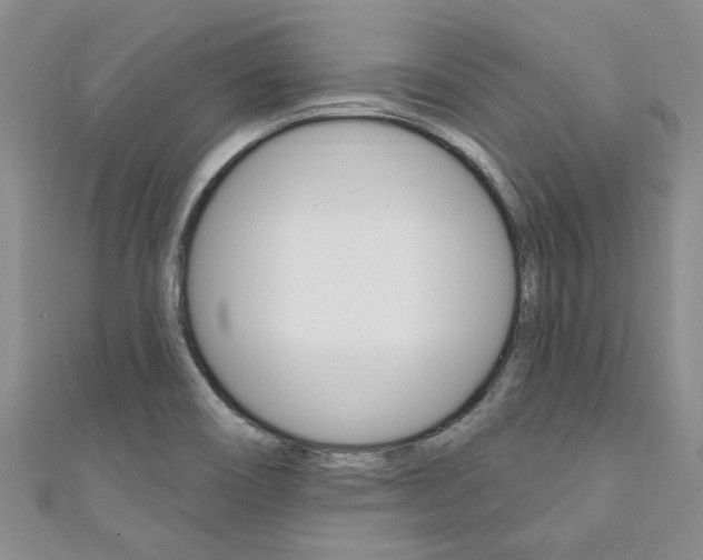 X0000111361466200907100946
