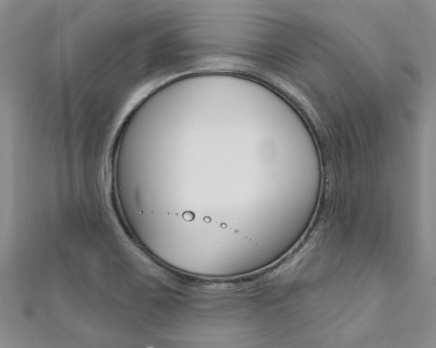 X0000111361467200907100946