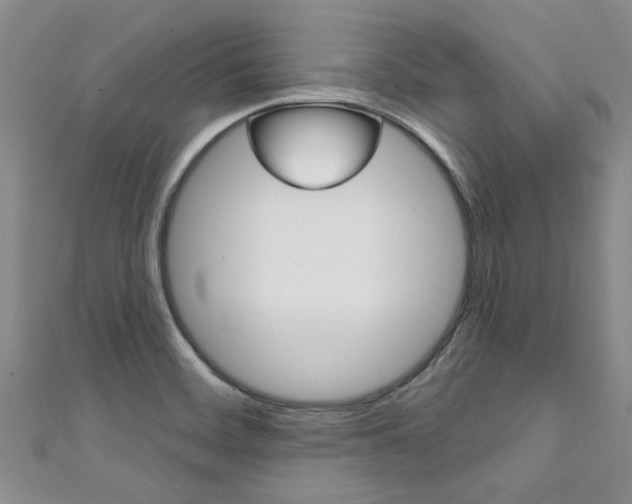 X0000111361468200907100946