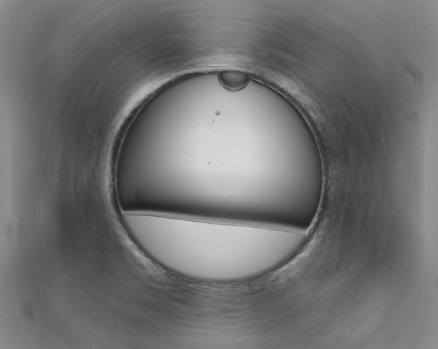 X0000111361469200907100946
