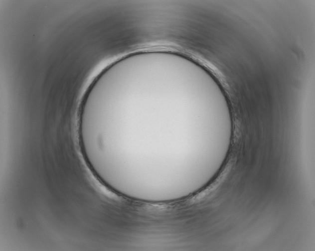 X0000111361470200907100946