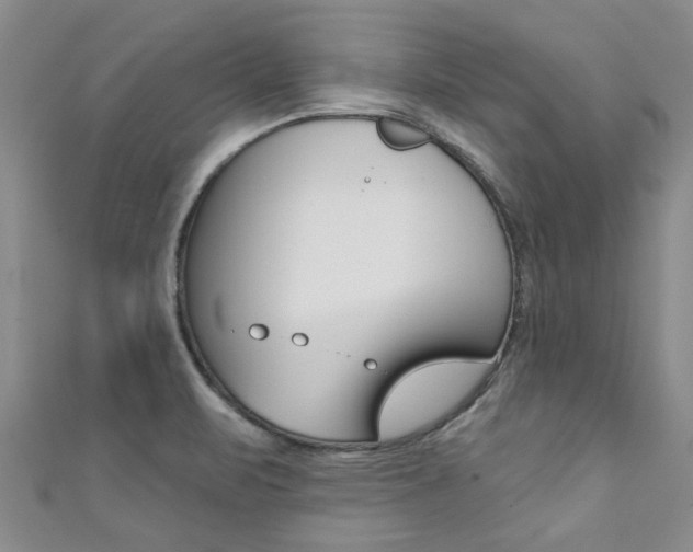 X0000111361471200907100946