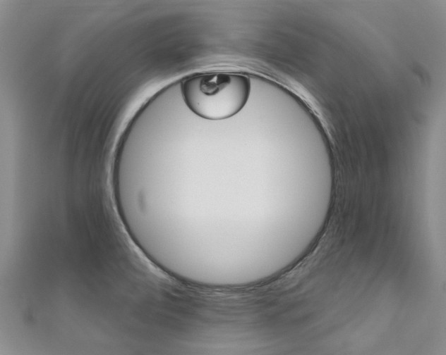 X0000111361472200907100946