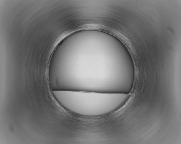 X0000111361473200907100946