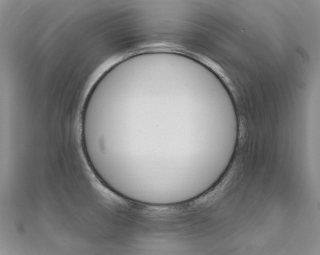 X0000111361474200907100946