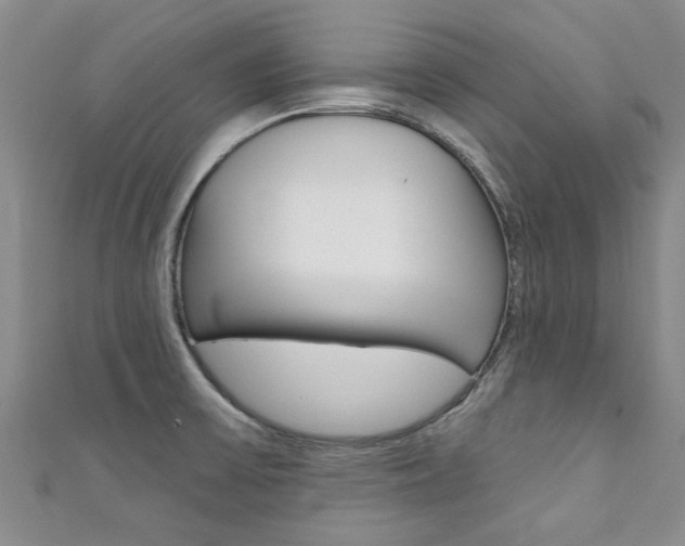 X0000111361475200907100946
