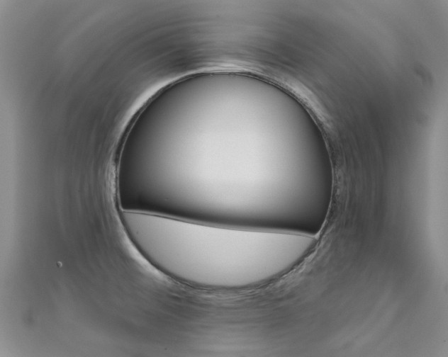 X0000111361476200907100946