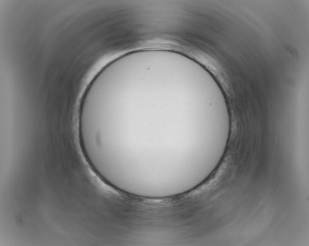 X0000111361478200907100945