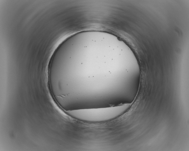 X0000111361479200907100945