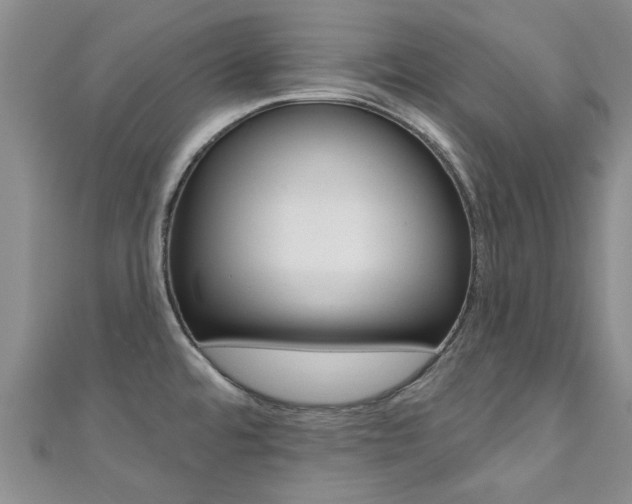 X0000111361480200907100945