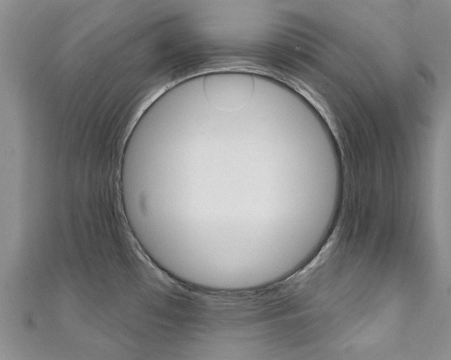 X0000111361481200907100945
