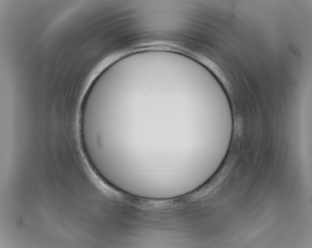 X0000111361482200907100945