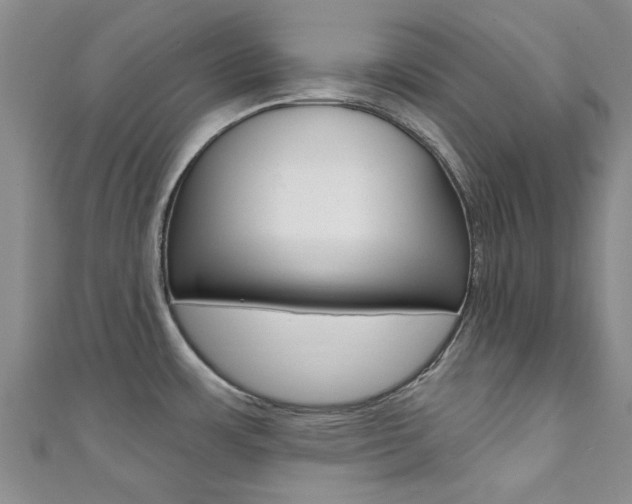 X0000111361483200907100945