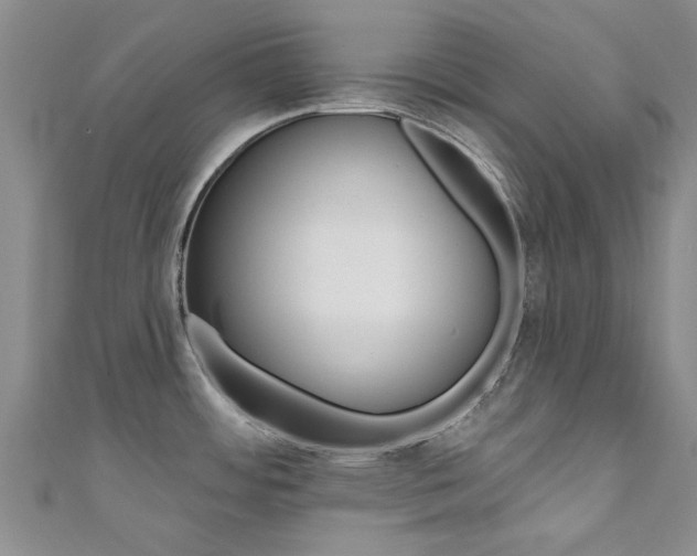 X0000111361484200907100945
