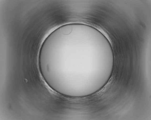 X0000111361485200907100945