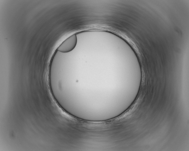 X0000111361486200907100945