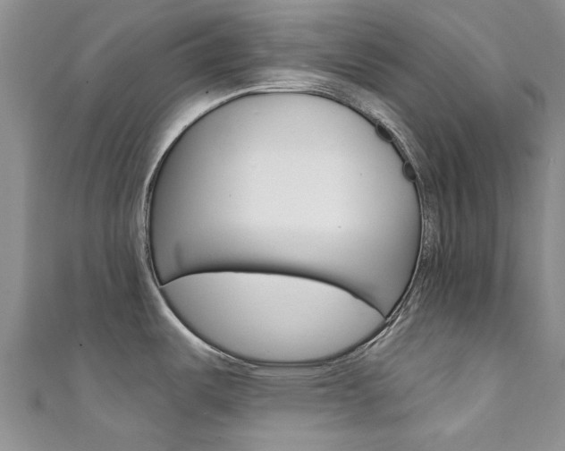 X0000111361487200907100945