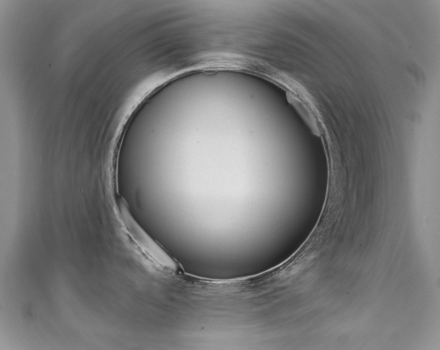 X0000111361488200907100945