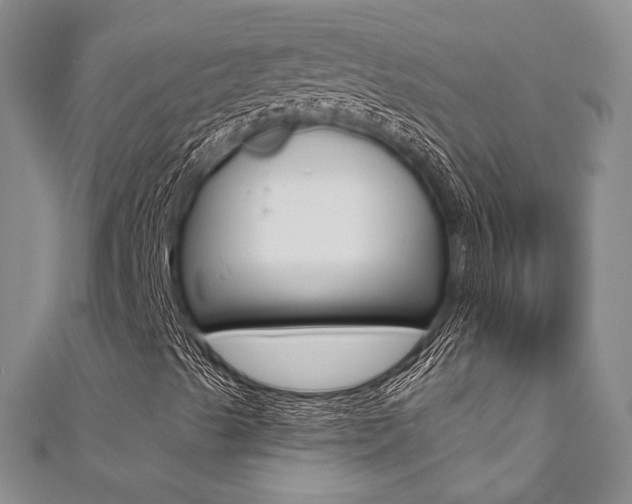 X0000111361489200907100945